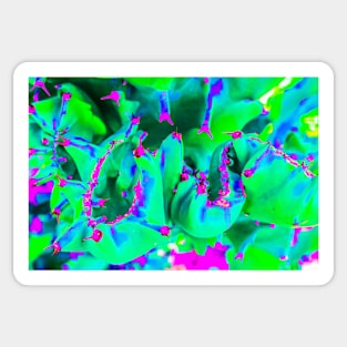 Green cactus in pastel abstract Sticker